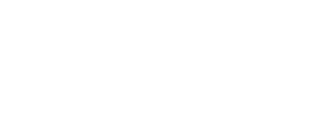 P/W Consulting GmbH Logo